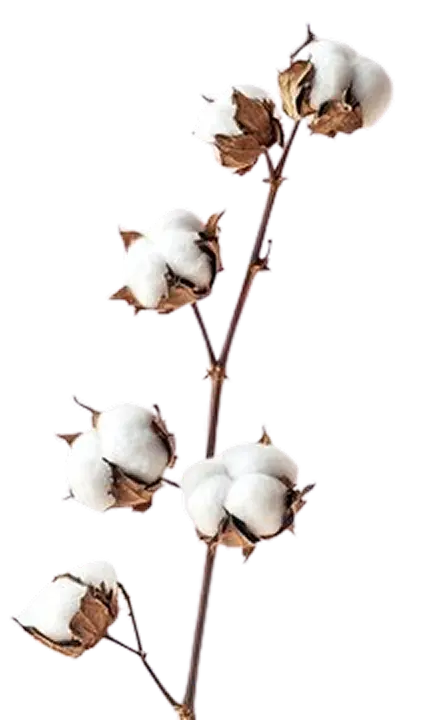 Cotton Decorative 4